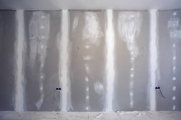 Navy, VA Mold Removal Company
